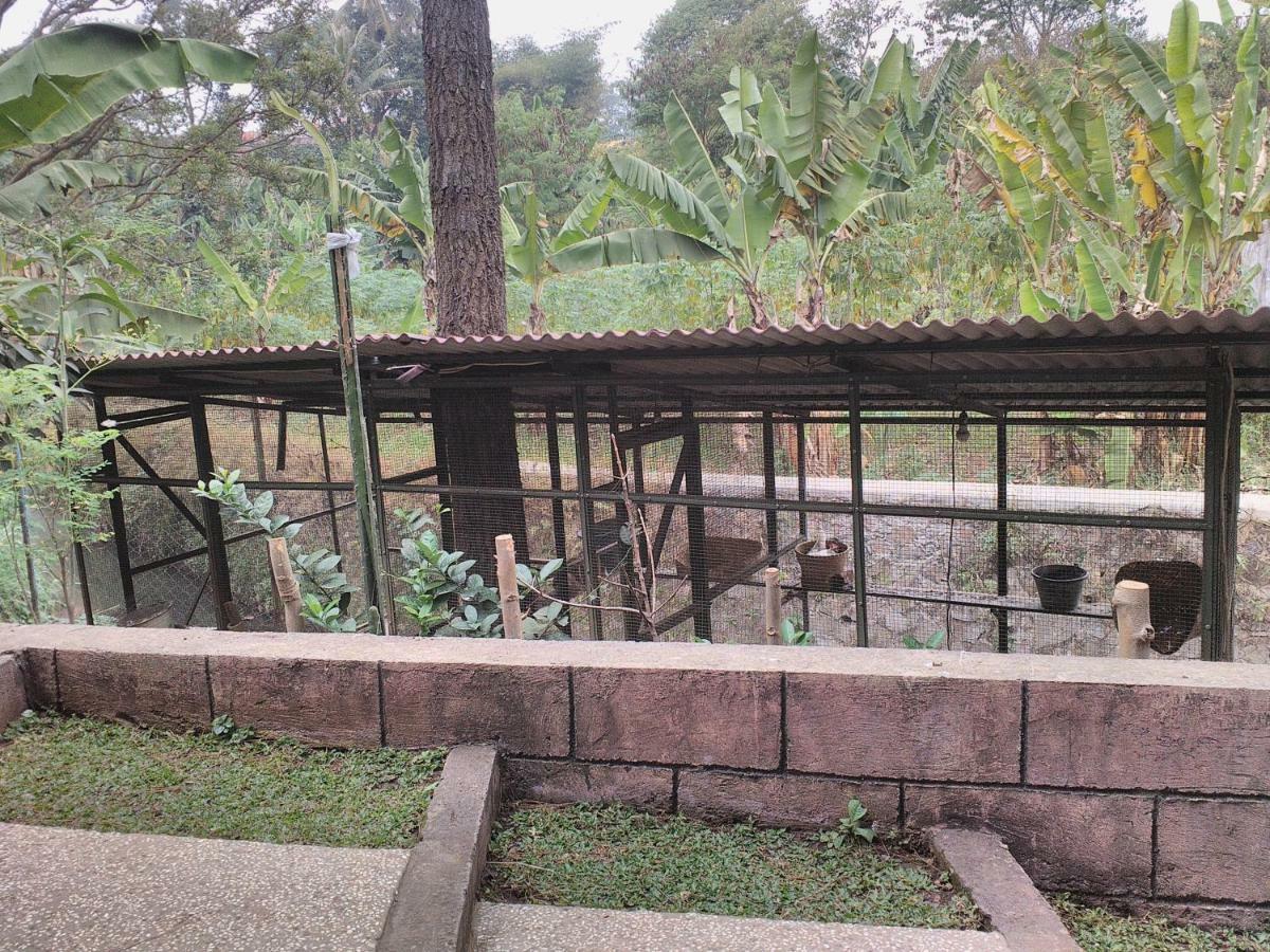 Nabila Syar'i Guest House Padalarang Luaran gambar