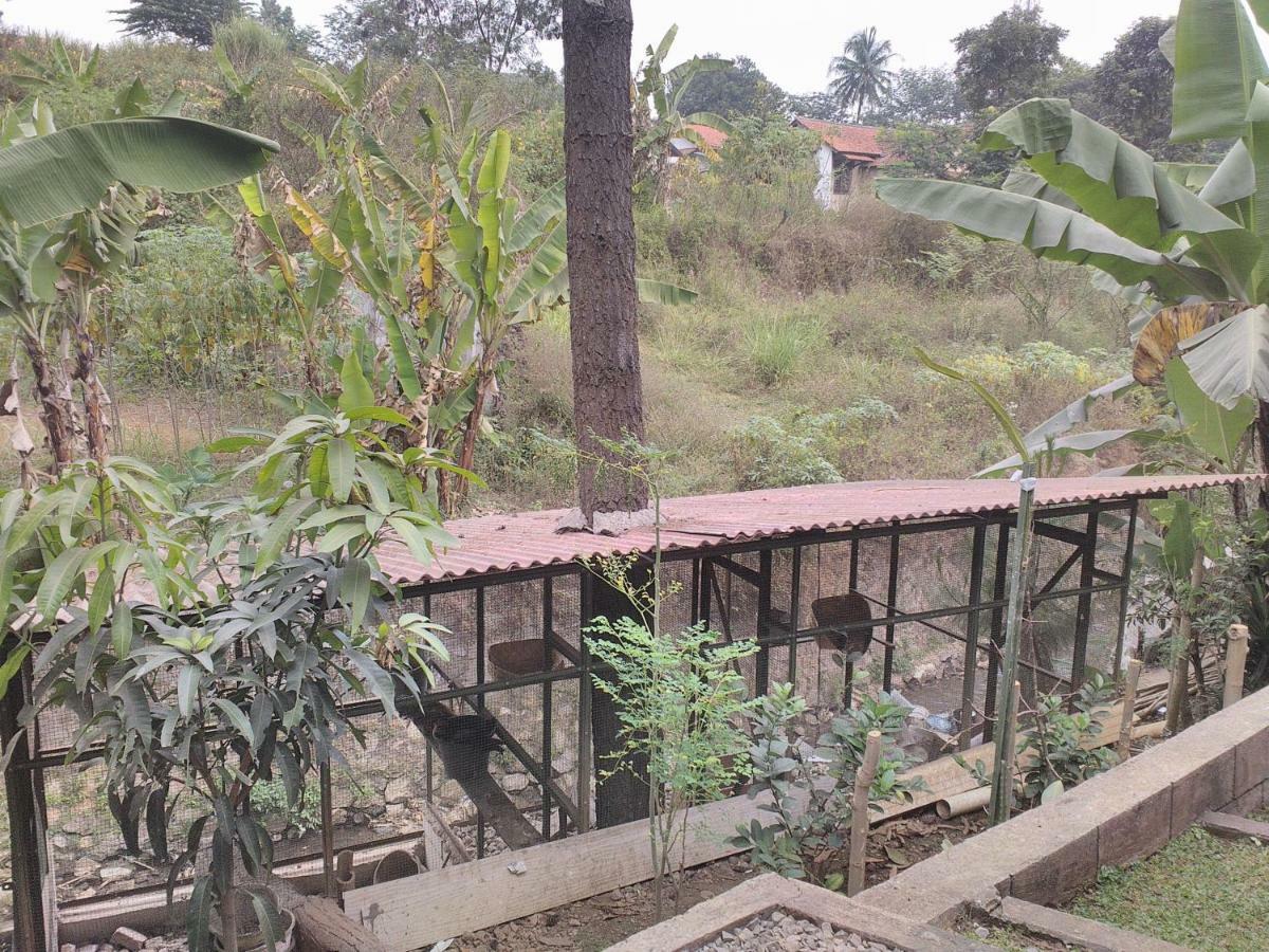 Nabila Syar'i Guest House Padalarang Luaran gambar